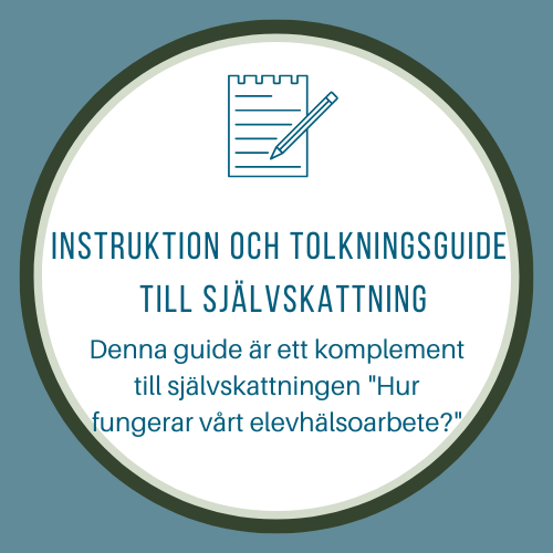 Instruktion och tolkningsguide till självskattning