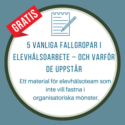 5 vanliga fallgropar i elevhälsoarbete – och varför de uppstår